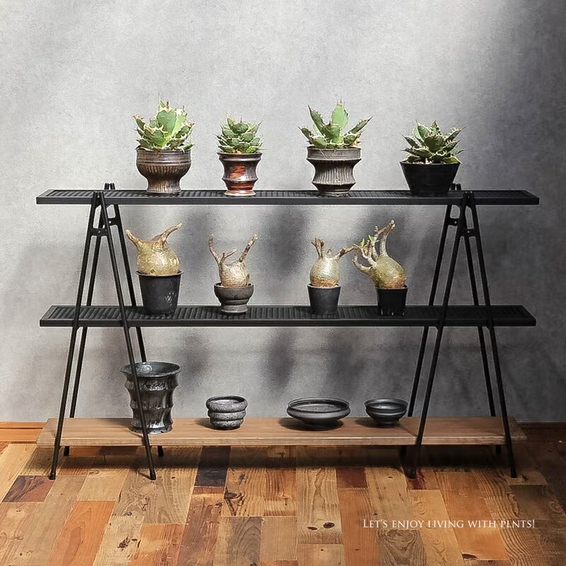 Rakuten - 植物たくさん置ける、カッコいい台（3段アイアンシェルフ）オープンラック 植物棚 LIM IRON CRAFT ガーデンラック フラワースタンド 置き台 おしゃれ かっこいい 観葉植物 多肉 塊根 収納棚 120cm 140cm 130cm 工具不要