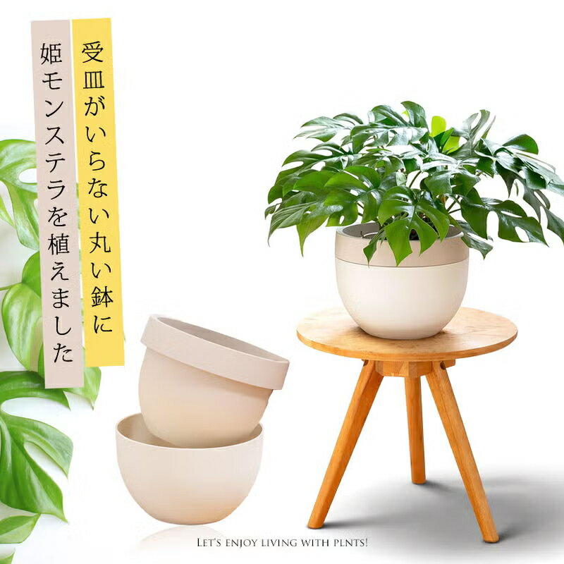 樂天商城 - 【お届けは5/1〜】姫モンステラを、北欧鉢に植え替えてお届け。観葉植物 室内 インテリア おしゃれ ギフト プレゼント 誕生日 インテリアグリーン ガーデニング オフィス リビング 鉢 おしゃれ