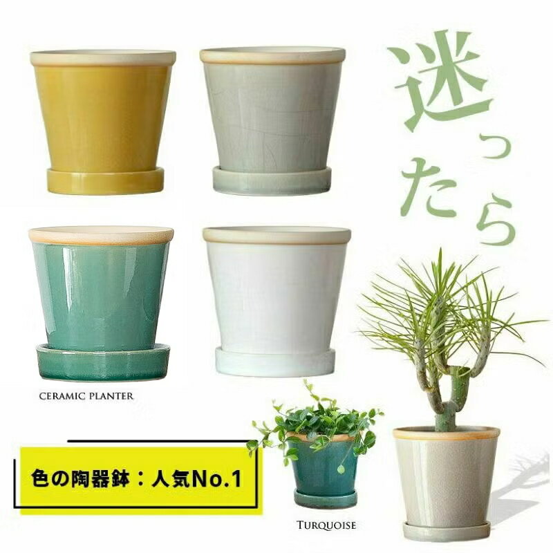 楽天市場】鉢カバー 3号の通販