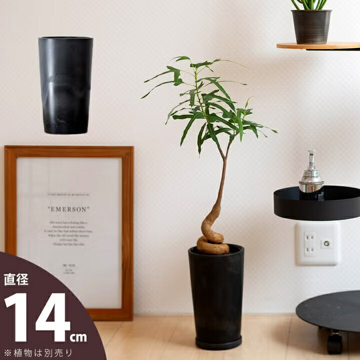 樂天商城 - 筒のように細長い、縦長の樹脂POT（14cm）植木鉢 観葉植物 植え替え 鉢カバー おしゃれ おしゃれな植木鉢 室内 鉢 鉢植え 土 ガーデニング 屋内 ギフト プレゼント 誕生日 お祝い シンプル キッチン ガーデン