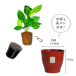 アメリカ生まれの植木鉢「エコフォームズ」(15cm)
