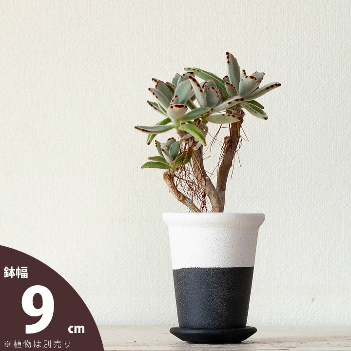 樂天商城 - 白黒モダン植木鉢（横半分タイプS）（9cm）