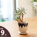 異国風、ハンドメイドPOT:横ギザtype(9cm)