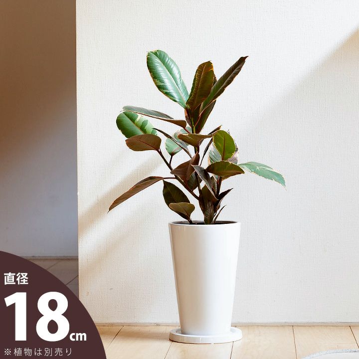 樂天商城 - 艶があって、白が綺麗な縦長陶器鉢（18cm）