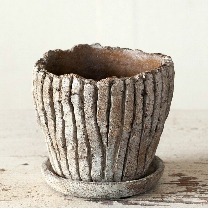 ���ĥ��ġ��Фäݤ�����ͥ����ʷ�ϵ�������ȭ��13cm��