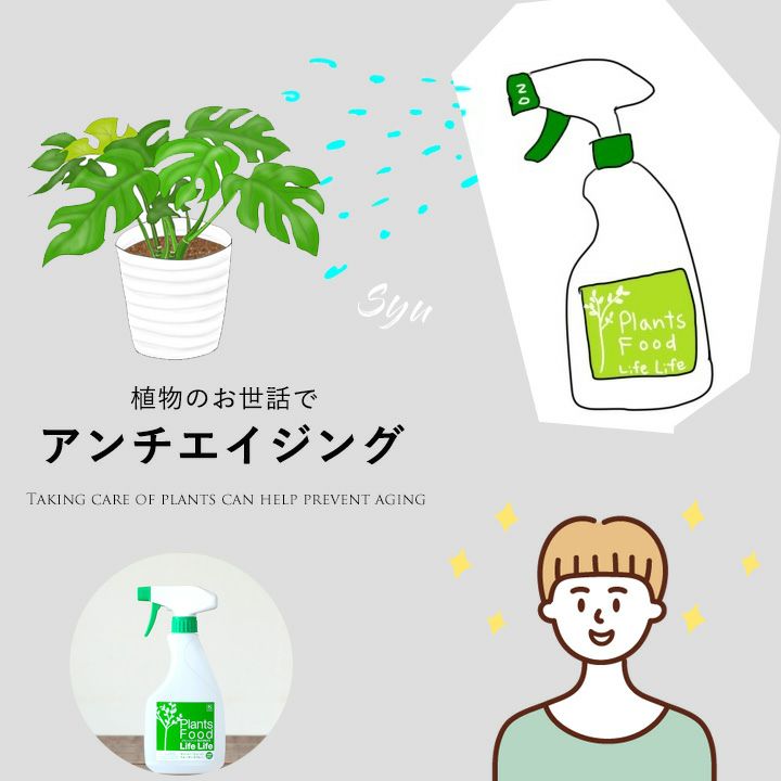 【観葉植物の栄養剤】プランツフード500ml肥料成分含有の液体活力剤。成長促進養分だけでなく、葉水（霧吹き）で防虫効果も期待！