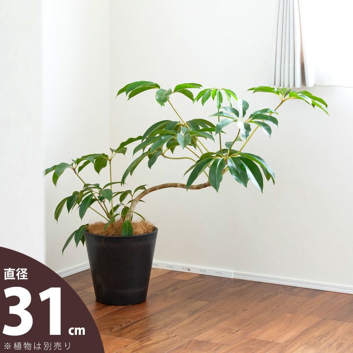 鉢カバー（8号鉢対応）おしゃれ樹脂で、お求めやすいプライス