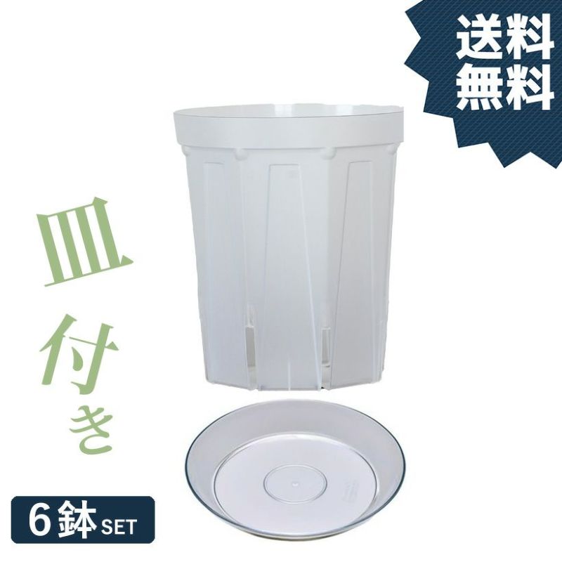 【受皿付き】6鉢SET！根が見える、透明スリット鉢（5号）スリット鉢 ネガミエル 送料無料 浅岡園芸 おしゃれ スリット 鉢 植木鉢 プラスチック 透明 観葉植物 植え替え 受け皿 根が見える鉢 クリア 半透明 鉢 ポトス革命チャンネル フラワーポット negamieruのサムネイル
