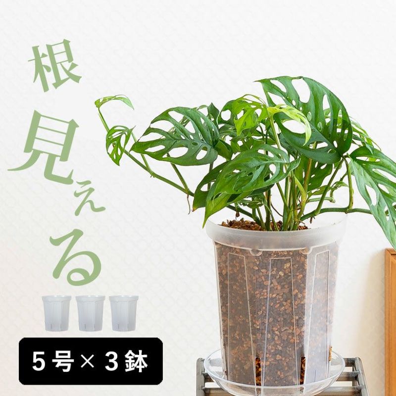 山草鉢 手作りの陶器植木鉢 山野草鉢 信楽焼 山草 鉢 しがらき 陶器鉢 植木 やきもの 信楽焼鉢 手づくり sa-0307