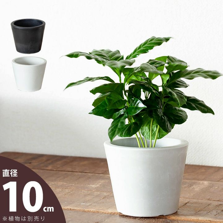 植物の美しさを引き立てる、上品デザインの樹脂POT（10cm）観葉植物 植え替え 鉢 植木鉢 おしゃれ 陶器..