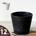 植物の美しさを引き立てる、上品デザインの樹脂POT(12cm)