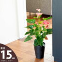 人気の「縦長」スタイル!上品樹脂POT(15cm)