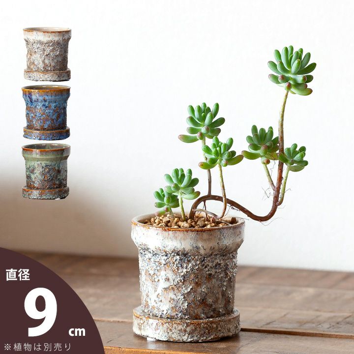 小さい植物を引き立てる、ザラザラ釉薬の陶器鉢（9cm)植木鉢