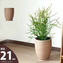 色が素敵!ベージュ(ペールオレンジ)釉薬の陶器鉢・L(21cm)7号 鉢 マット 縦長鉢 植木鉢 陶器 植え替え 5号 6号 観葉植物 背が高い 鉢カバー おし...