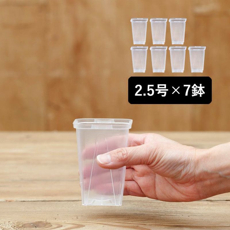 透明スリット鉢[2.5号サイズ×7鉢SET]ス...の紹介画像2