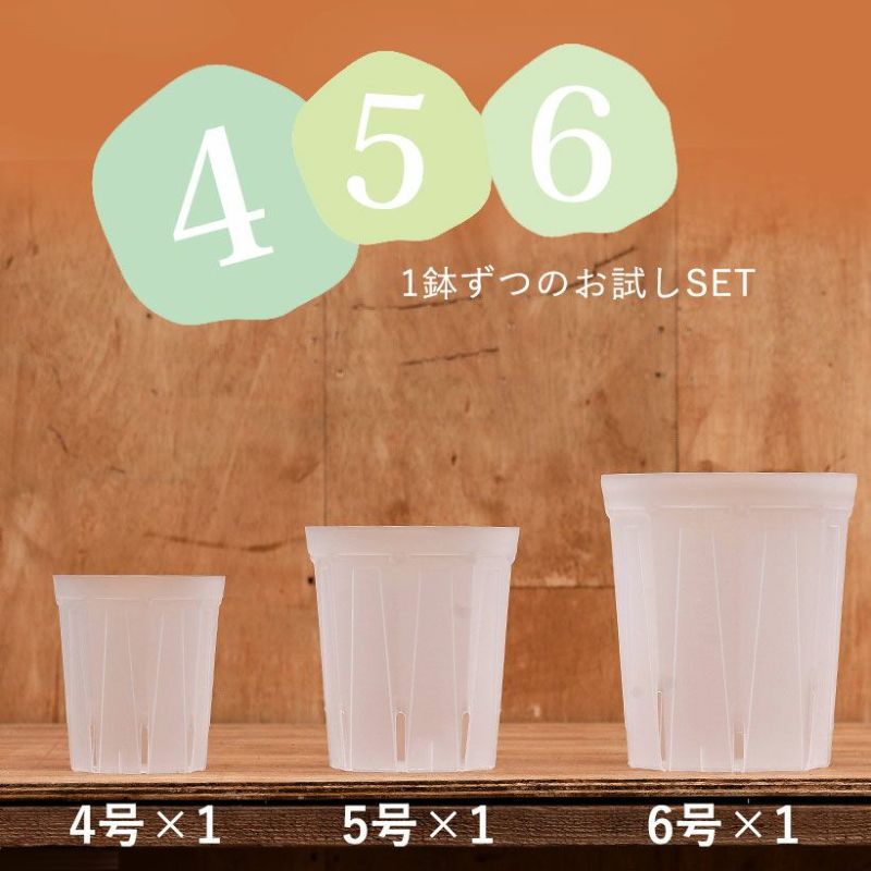 透明スリット4・5・6SET [4号、5号、6号×各1]透明スリット鉢 ネガミエル 浅岡園芸 スリット 鉢 観葉植物の植え替え 根が見える鉢 クリア 半透明 観葉植物の鉢 植木鉢 プラスチック ポトス革命チャンネル 観葉植物 鉢 通気性 根腐れ防止 高排水性のサムネイル