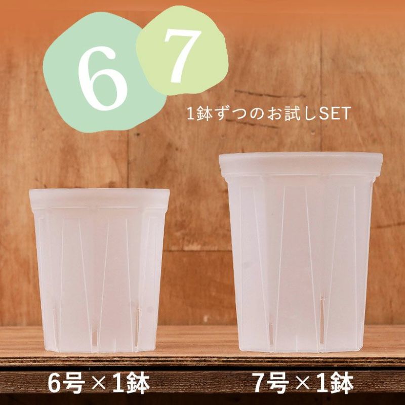 透明スリット6・7SET [6号×1、7号×1]透明スリット鉢 ネガミエル 浅岡園芸 スリット 鉢 6号鉢 7号鉢 観葉植物の植え替え 根が見える鉢 クリア 半透明 観葉植物の鉢 植木鉢 プラスチック ポトス革命チャンネル 観葉植物 鉢 通気性 根腐れ ねこチップのサムネイル