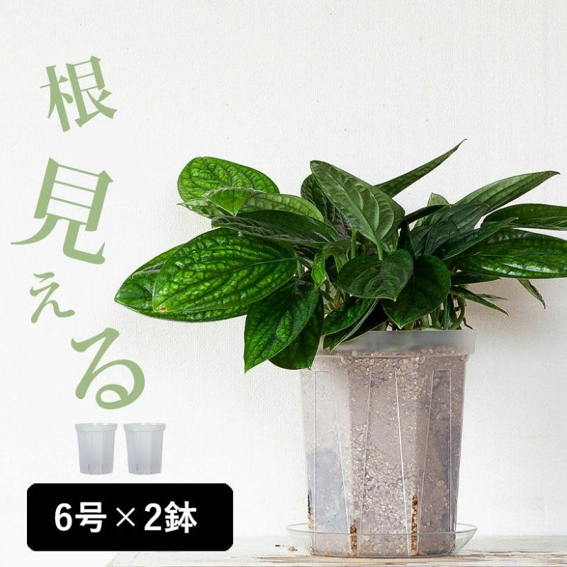 プラスチック製寄せ植え鉢：平鉢 寄せ植えジョイ 9号と受け皿のセット（ブラック）