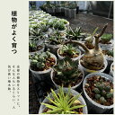 e-8783:10006022のサンプル画像3