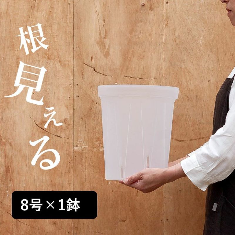 【先行販売】透明スリット鉢[8号サイズ×1鉢]スリット鉢 ネガミエル 浅岡園芸 スリット 鉢 透明 鉢 植え替え 観葉植物の植え替え 根が見える鉢 クリア 半透明 観葉植物の鉢 植木鉢 プラスチック ポトス革命チャンネル スリット 根腐れ防止 ねこチップのサムネイル