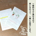 e-8783:10005992のサンプル画像3