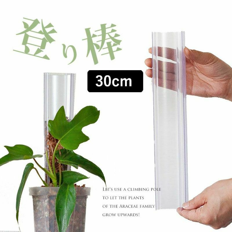 大型プランター 植木鉢 鉢 プランター 大型 大きい 大きな シンプル おしゃれ かわいい 無地 ストーン アプス パボ ジャー ホテル ビル オフィス 園芸 玄関 庭 庭園 ガーデニング ガーデン グレー 灰色 インテリア ポット 花 お花 植物 観葉植物 ラテルストーン グレー