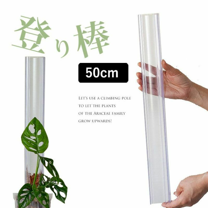 『透明』ねこ型登り棒（高さ50cm：太さ5.5cm）猫の登り棒 ねこの登り棒 花森家 猫のぼり棒 ネコ 登り棒 スリット鉢 4号 5号 ネガミエル 浅岡園芸 スリット 鉢 植え替え 観葉植物の植え替え クリア ねこチップ ネコチップ 観葉植物 ねこの登り棒のサムネイル