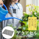 アクアセル(水やりが楽になる便利道具)アクアセルキューブ500ml R S ハクサン 長持ち専用 トレー 観葉植物 花苗 花鉢 ガーデニング 水 長期不在 旅行 ウレタン スポンジ 解決 トレイ 花台 置き台 受皿 保水 吸水 装置 根腐れ 防止