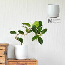 白い陶器の植木鉢。マット仕上げ、優しいカタチ。植木鉢 おしゃれ 陶器 3号 3.5号 4号 5号 6号 鉢 観葉 植物 室内 おしゃれな植木鉢 植え替え 苗 イ...