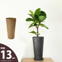 軽くて、値段の割に高級感もある、スタイリッシュ縦長鉢(13.5cm)植木鉢 観葉植物 植え替え 鉢カバー おしゃれ おしゃれな植木鉢 室内 鉢 鉢植え 土 ガー...