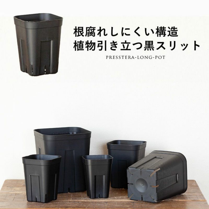 楽天市場】スリット鉢 ロング 6号の通販 楽天市場】スリット鉢 ロング 6号の通販