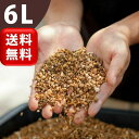観葉植物の土【虫がわかない無機質配合】店長おすすめ!栽培家・杉山拓巳氏「プレミア