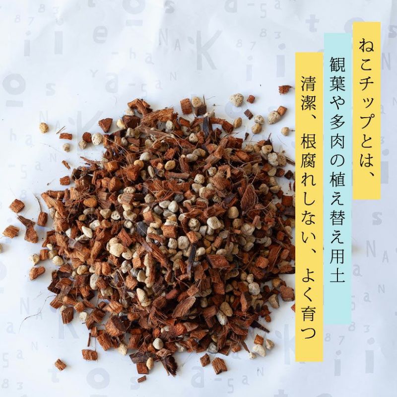 【予約品・お届けは5/19〜】植物がよく育つ土（通称：ねこチップ） 観葉植物 土 植...