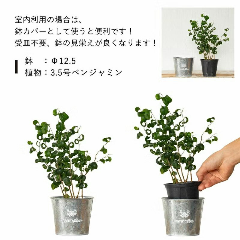 �֥ꥭȭ�����������type ���⳰�ǻȤ��롪�ʥ��������礤����ȭ�������ʿ���ȭ �����ǥ˥� ȭ���С� ����ƥ����� ��ȥ� ������� �� �߷� ���տ�ʪ ¿����ʪ ���ܥƥ� �󤻿��� ���ե�ȭ��� �ե��ݥå� ����С� ����ץ�