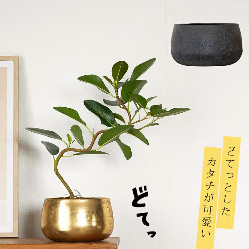 Rakuten - ドテっとした形が可愛い！鉄製「鉢カバー」（3号〜3.5号苗の植物向け）おしゃれ 植木鉢カバー 苗 寄せ植え インテリア