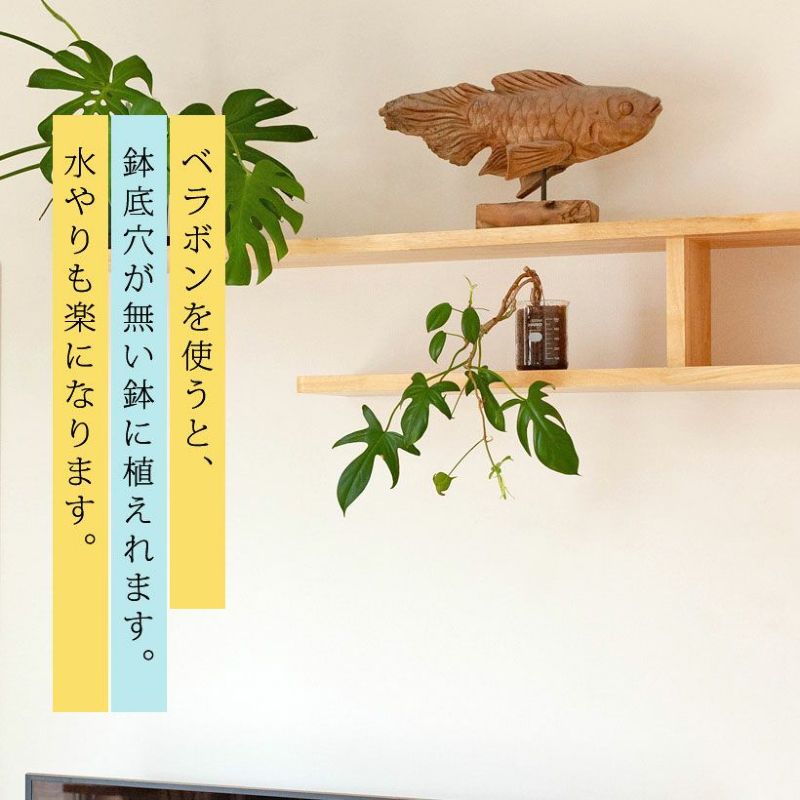 ベラボン・プレミアム「土を使わない」「底穴が無...の紹介画像2