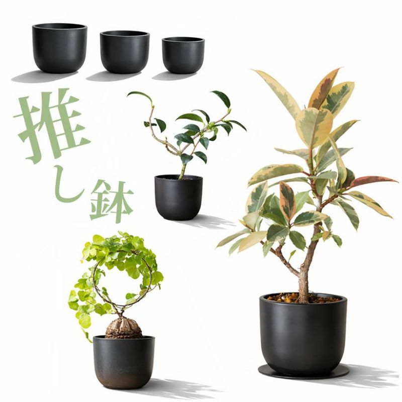 黒のベースポット（まる）植木鉢 [植物の色、質感映えるマットブラック] 多肉植物 塊根植物 樹脂 プラスチック マセタ maceta 楕円 丸 黒マット 安い プラスチック おしゃれ 2号 2.5号 3号 4号 5号 浅鉢 室内 使いやすい 観葉植物 植え替え 皿付き