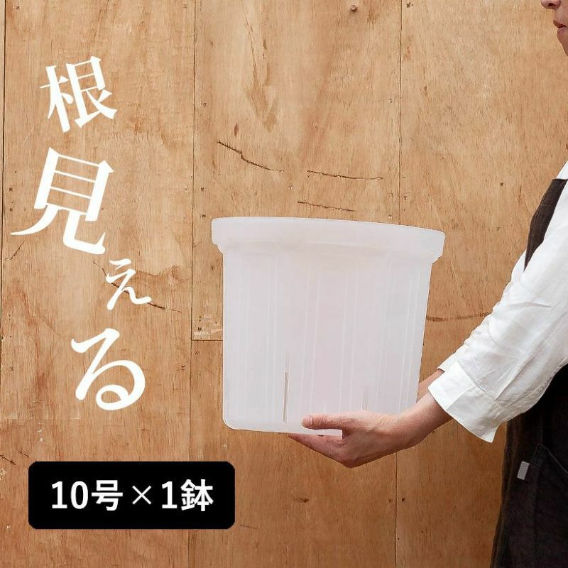 【お届けは5/21〜】透明 スリット鉢 「大型...の紹介画像3