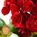 薔薇をも超える、美しいベゴニア「レ・ミゼラブル」（今月のおすすめ）