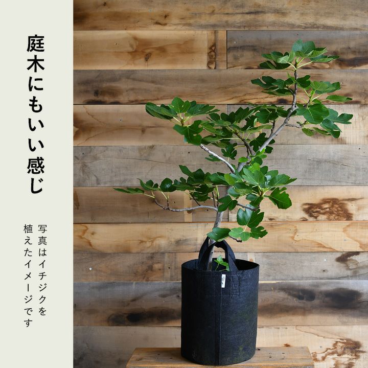 ルーツポーチ持ち手あり（不織布の植木鉢）:背が高いtype＃6【幅29cm】不織布 Root Pouch 植木鉢 おしゃれ カラー 鉢 6ガロン 布鉢 ネイビー ブラウン ブラック プランター 家庭菜園 観葉植物 塊根植物 多肉植物 サステナブル 通気性 排水性 水はけ 軽量 2