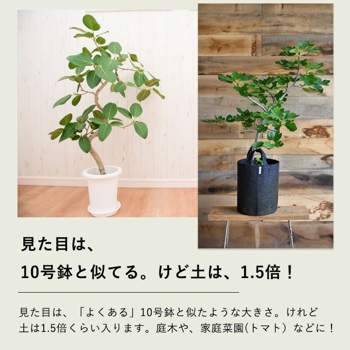 ルーツポーチ持ち手あり（不織布の植木鉢）:背が高いtype＃6【幅29cm】不織布 Root Pouch 植木鉢 おしゃれ カラー 鉢 6ガロン 布鉢 ネイビー ブラウン ブラック プランター 家庭菜園 観葉植物 塊根植物 多肉植物 サステナブル 通気性 排水性 水はけ 軽量 3