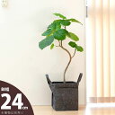 バッグ職人がプロデュースした鉢カバー□24cm×高さ28cm【不織布の植木鉢】