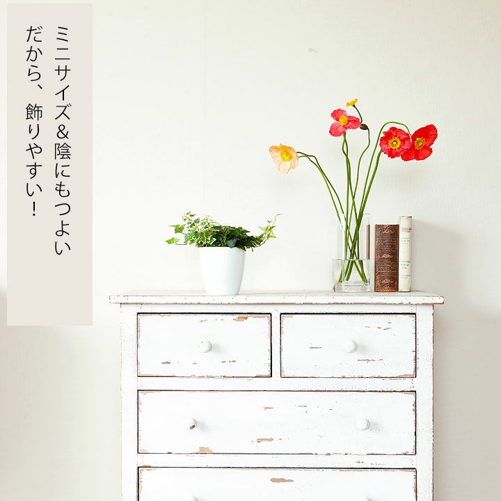 3��δ󤻿��������ӡ��إǥ�إ�å��� ���տ�ʪ �󤻿��� �إǥ� �Ĥ��� �������� ���� ���ե� ������ �ߥ� ȭ���� ��ȭ �ĥ��� ���˶��� �ץ����ե� �ߥ˥��ե� �ץ쥼��� ���� ������� ���� ����