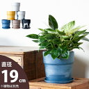 軽い、可愛い、植木鉢。M（19cm)プラスチック 観葉植物 