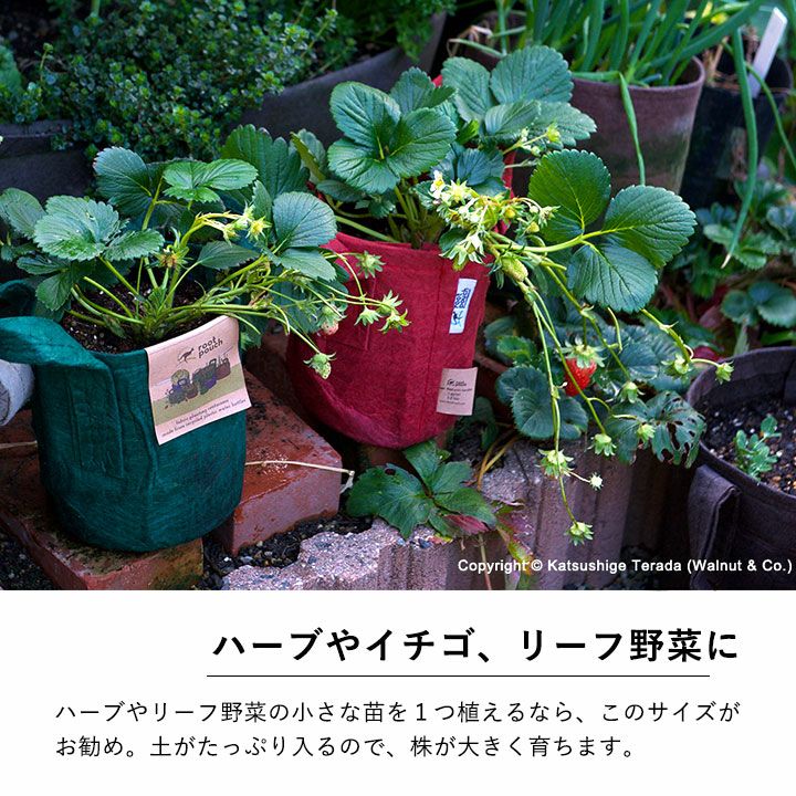 ルーツポーチSサイズ【直径21cm ＃2】不織布の植木鉢　S 2ガロン不織布 鉢 布 Root Pouch 植木鉢 おしゃれ ネイビー ブラック ブラウン グレー グリーン 軽い プランター 家庭菜園 観葉植物 塊根植物 多肉植物 サステナブル 通気性 排水性 水はけ 軽量 e-8783-10004455 e-花屋さん サンプル画像2