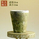 モス(苔)加工付きアンティーク風・ホワイトテラコッタ×1直径10×高さ12cmタイプ【植木鉢 ナチュラルガーデニング 素焼鉢】【モスポット 苔 白 naru】3060