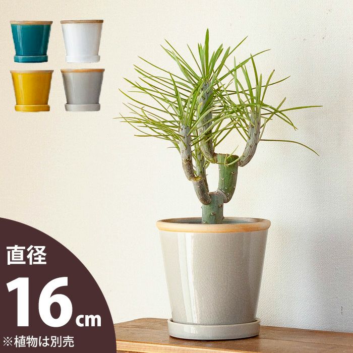 【植木鉢】4色から選べる！植物に合せやすい陶器鉢М（直径16cm）4号の植木鉢 陶器 鉢カバーにも 観葉植物 鉢 観葉植物の鉢 鉢植え 植え替え 土 4号 5号 ホワイト ターコイズ イエロー グレー 白 青 黄色 灰色 屋内 小型 小さい 小さめ ミニ ミニ鉢 室内 おしゃれ