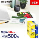 ラミネートフィルム 診察券サイズ 100枚 100μ 5個セット100ミクロン アイリスオーヤマ LZ-SN100 パウチフィルム ラミネーター フィルム 診察...