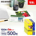 ラミネートフィルム 写真Lサイズ 100枚 100μ 5個セット100ミクロン 写真L判 アイリスオーヤマ LZ-PL100 パウチフィルム ラミネーター フィ...