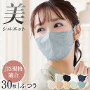 マスク アイリスオーヤマ 不織布 カラーマスク 立体 DAILY FIT MASK 30枚入 ペールベージュ マスク 立体マスク カラー 血色マスク ふつう 花粉対策 風邪対策 個別包装 RK-F30S マスク アイリスオーヤマ 不織布 カラーマスク 立体 アイリスオーヤマ